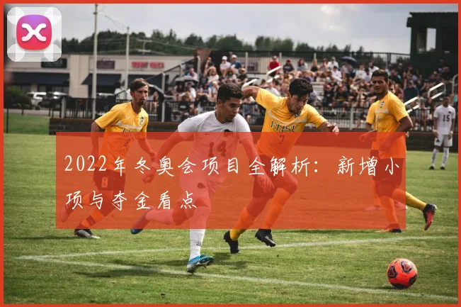 2022年冬奥会项目全解析：新增小项与夺金看点