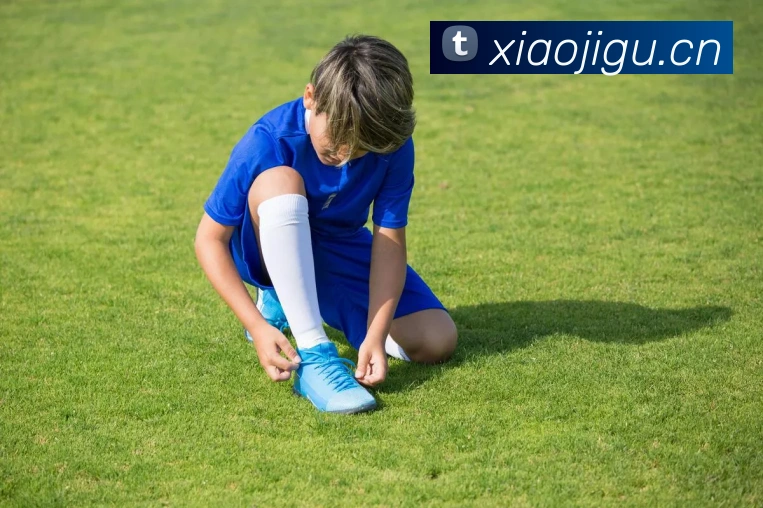 开云kaiyunAPP 高清赛事图